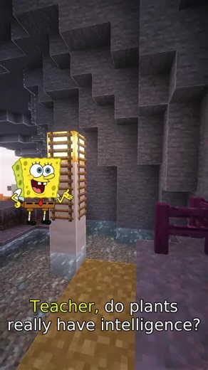 Plant Intelligence #PlantIntelligence #PlantCommunication #NatureLearning #EnvironmentalAwareness #BiologicalSignals #EducationalContent #ScienceForKids