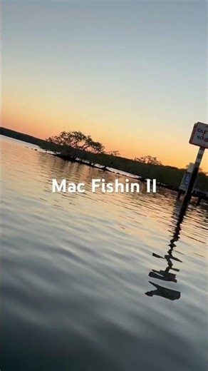 Mac Fishin II #mercuryoutboard #bostonwhaler #saltwaterfishing #truck #boat #fishing #snorkelling