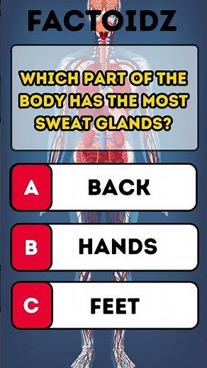 “Which Body Part Has the Most Sweat Glands? | Amazing Human Body Facts You Didn’t Know!”