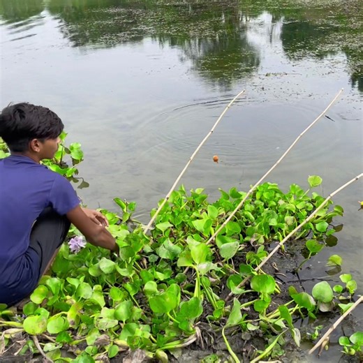 9.3K views · 87 reactions | Best Hook Fish Hunting | Village Boy Catching Fish By Hook In River | Rural Fishing BD | Facebook