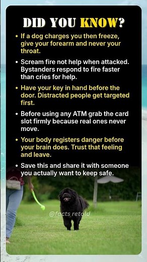Learn These 5 Safety Tricks Before It's Too Late