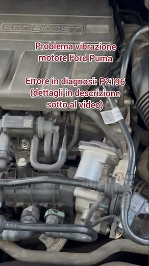 Problema vibrazione motore Ford Puma errore P2196