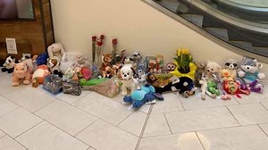 'Alert and conscious': Boy thrown from Mall of America balcony continues to heal