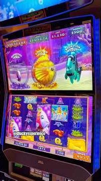 $75/0 SPIN GOLD FISH SLOT MACHINE #vegas #casino