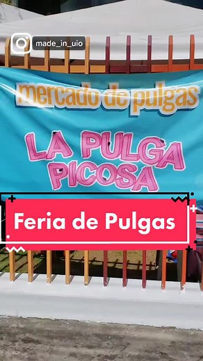 💫 Feria de pulgas (ropa de segunda mano en Quito) 💫 #segundamanoquito #uio #ropaaesthetic #amigas #quito_ecuador🇪🇨