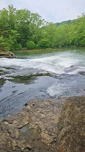 18K views · 946 reactions | Foraging ALWAYS turns into exploring, and the things I find not only fascinate me, they become my medicine  Geology here in the Appalachian is old, like 1 billion years old. These are some of the oldest mountains in the world and the secrets they hold will never be fully revealed. Their medicine however can be felt as soon as you reach the trees. Get outside and Stay Wild ✌️ | HealthPrimitive | Facebook