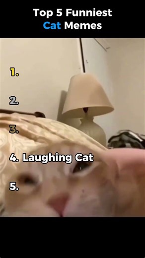 Top 5 Funniest Cat Meme 😹