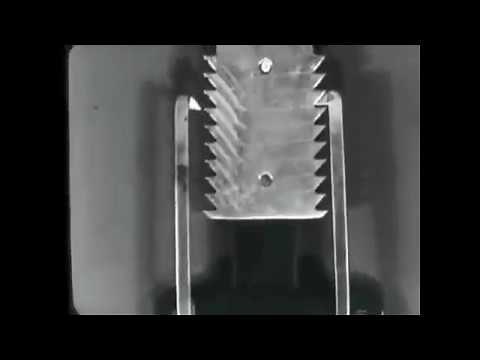 RALPH STEINER Principes mécaniques