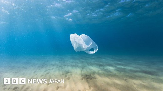 死んだクジラ、胃に40キロ分のプラスチック - BBCニュース