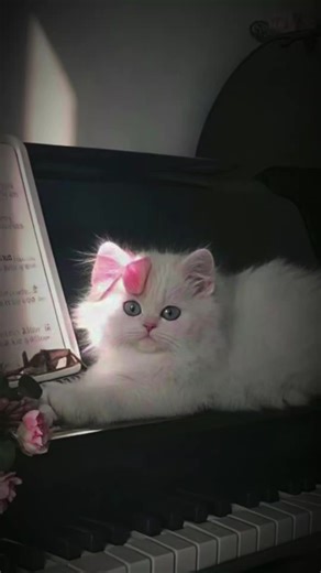 #Ez jî ne di dijîm ku tu be nasîbê min, kî dizane... Xwedê çi bibînim ez ne dîtim, ji ber vê yekê ne nasîb kir.. #حومص #کوردستان #حطو_لايك_فولو_أكسبلور