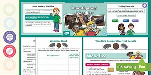 KS1 Woodlice Investigation Pack