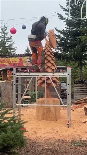 Christmas tree carving - Timelapse Wehere: Weihnachtsbaumland Vogel Angelbachtal #husqvarna