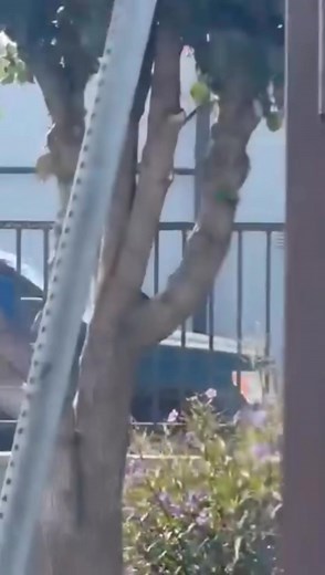 Confirmado- 27 de octubre - Panorama City, CA- U-Haul en Saticoy y Van Nuys - 10:47am Unión del Barrio siempre agradece a nuestra comunidad por ser nuestros ojos y oídos con sus videos fotos y documentación para alertar a la comunidad y mantenerse informado. Seguimos aconsejando a la raza que tenga cuidado durante esta ola de deportaciones, que no se rinda ante el miedo, y que siga las mejores prácticas publicadas. Para apoyar la campaña de autodefensa comunitaria de Unión del Barrio, denunciar 