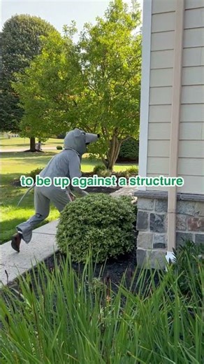 How do mice get around (if they can't see very well)?