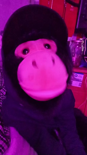 Healing Through Positivity and Puppet Therapy