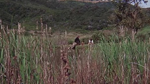 The Illustrated Man (1969) by Tony Caban.mp4