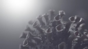 Virus, Coronavirus, Outbreak. Free Stock Video