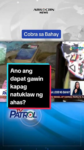 Dalawang malaking cobra pa ang natagpuan sa loob ng isang bahay sa San Pablo City, Laguna. May payo ang isang toxicologist sa mga tamang gawin kapag natuklaw ng makamandag na ahas #tvpatrol #abscbnnews #tvpatrolontiktok