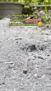 Ramai tak tahu rupanya abu kayu boleh dimakan🤤🤤 #tips #lifehacks #kayu | Eva Jae