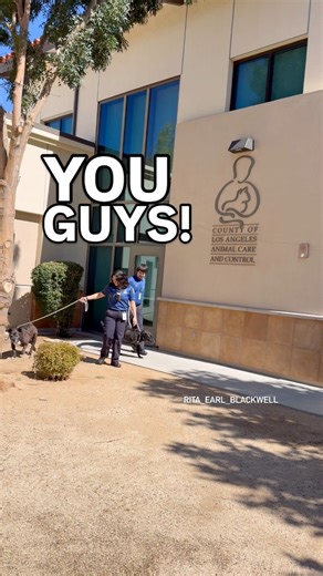 20K views · 1.1K reactions | Frosted Faces Foundation to the rescue!!...