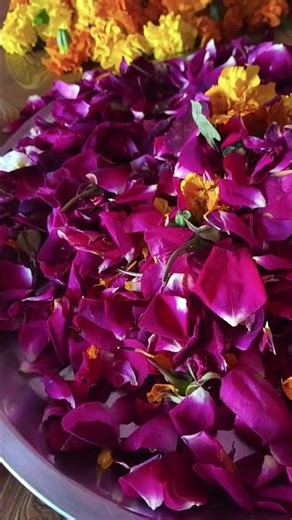 Ek holi aise bhi🌸 #viralvideo #minivlog #holi #villagelife #desiculture #differnt #happyholi#special