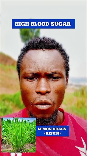 Struggling with high blood sugar? This simple grass might be a game changer 🌿👇 Lemongrass is more than a refreshing herbal tea — it’s packed with powerful antioxidants that may help support healthy blood sugar levels. It works by improving insulin sensitivity, reducing inflammation, and supporting better glucose metabolism in the body. Drinking lemongrass tea regularly may also help calm stress hormones, which often cause sudden blood sugar spikes. A calm body balances sugar better 💚 ✨ Why ad