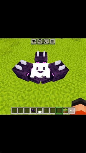 Minecraft new smiley face build 😍👌