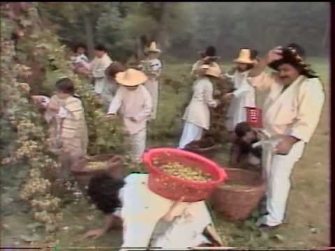 Ivan Mládek - Sedm statečných