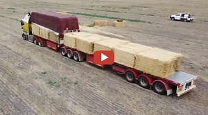 Strobalen transport en koolzaadoogst in Australië met Case ih Combines..... NormandieFields