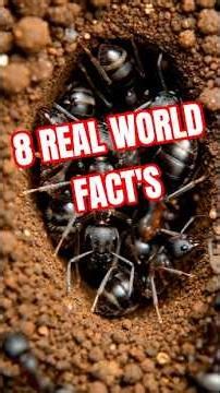 8 Real Facts That Will Surprise You!#UnknownFacts#RealWorldFacts