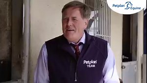 18K views · 20 reactions | Do you know how to check your horse's...