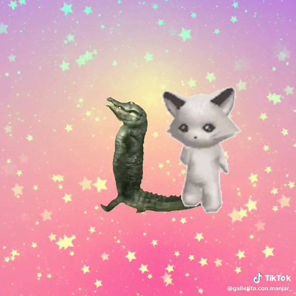 Dancing Cartoon Cat and Alligator in Colorful Animation