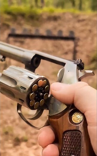 Taurus M94 Single vs Double Action .22 LR #acehgunfishing