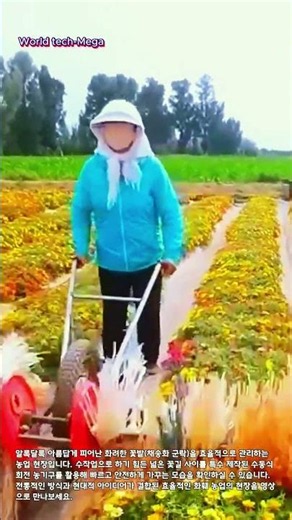 보기만 해도 마음이 편안해지는 꽃밭 관리 영상 #worker #process #satisfying #beautiful #countryside