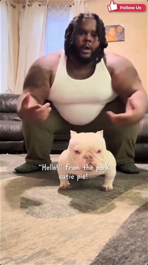 Proof That Dogs Really Do Look Like Their Owners 😂 #shorts #wholesome