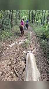 Diva's first group trail ride under saddle, Sept 2026