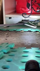 394K views · 1.8K reactions | “That’s why you call a snake catcher” ...