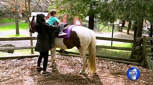 Our own Uzette met with Linda Aldrich, Executive Director of The Pony Express! Click to watch part 2 of the two-part interview, featuring horses! | KOFY TV | Facebook