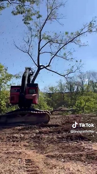 Logging Techniques for Self-Employed Forestry Workers