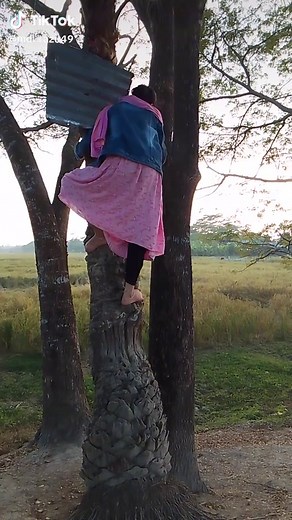 Climbing Trees Safely: Step-by-Step Guide