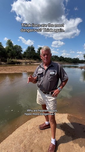 Hippos: As Dangerous as the Big Five