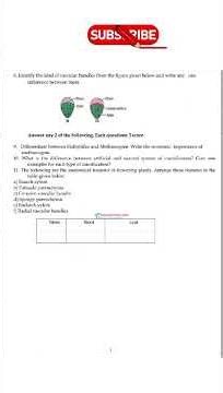 Plus One Botany l Vijayabheri Pre-model Exam 2026 Question Paper and Answer #plusone2026