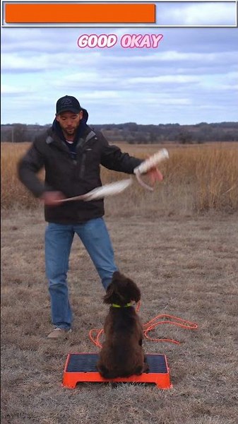 Using A Check Cord For Retrieving Drills