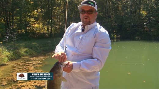 Topwater Fishing as Fall approaches and the Bass begin their migration into the creeks and pockets. This week we are looking at "Reading the Road Signs" to catch more fish. #topwaterfishing #tennesseeriver #TeamOutdoors #nitroboats #largemouthbass Bass Pro Shops Visit North Alabama Nitro Boats Motormate | Timmy Horton Outdoors