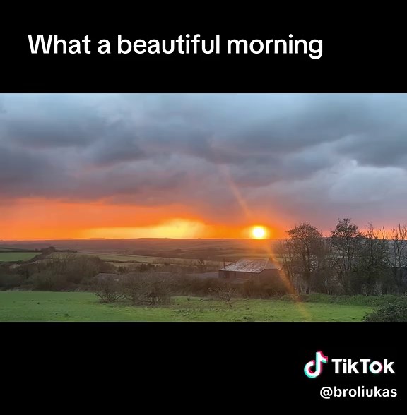 What a Beautiful Morning: Embrace the Day's Beauty
