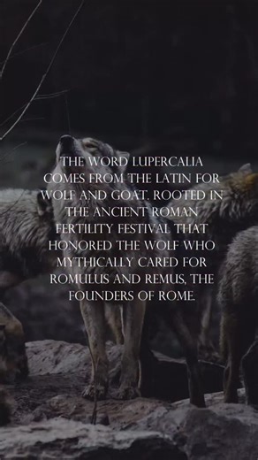 Tamed Wild ® 🌙 on Instagram: "Do you know the story of Lupercalia? 🐾 Valentine’s Day may indeed have more ancient origins than the feast of Saint Valentine, a martyred saint who so many of us associate with the history of this holiday. Some historians believe today’s holiday developed from a Pre-Roman and Roman festival of fertility and celebration called Lupercalia. 🐺 Though no one knows when Lupercalia began, fragments have been found in the history books as far back as the 6th century B.C.