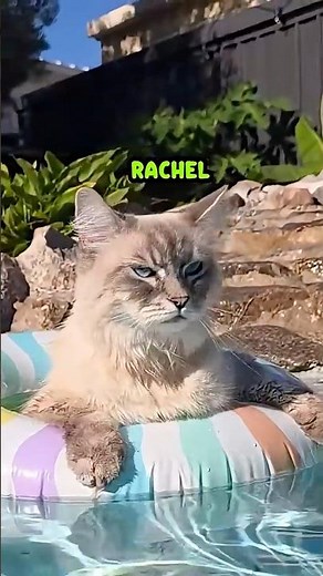 RaCheL CoRe 🤷🏻‍♀️