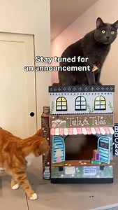 Get it while you can 💜 people have been LOVING seeing the cathouse at my art booth 😇 as always, if there is a type of house you wanna see, comment down below and let me knowwww ✨ ALSO there is a full length tutorial for this house on my YouTube and you can buy the stickers from my shop as well for decorating your cat house 🎉 #diy #diyproject #cats #catmom #catlover #cathouse | Movius Makes