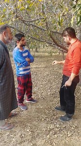 Red Spider Mite a New challenging pest in our Valley.Here i Try to Convinence my Farmers in an Easy way About this Pest. | Green Horticulture Kashmir