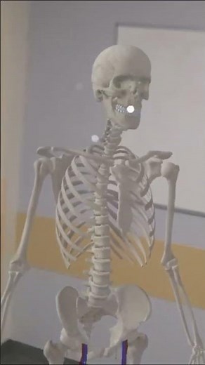 HoloHuman Demo | Exploring Human Anatomy in Mixed Reality pt 1